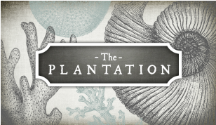 The Plantation Hawaii